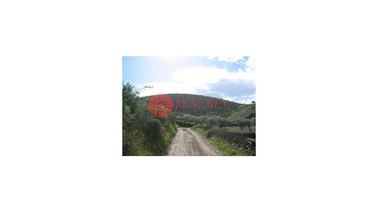 Quinta T5 para Venda em Torre de Moncorvo Foto 21