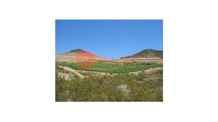 Quinta T5 para Venda em Torre de Moncorvo Foto 2