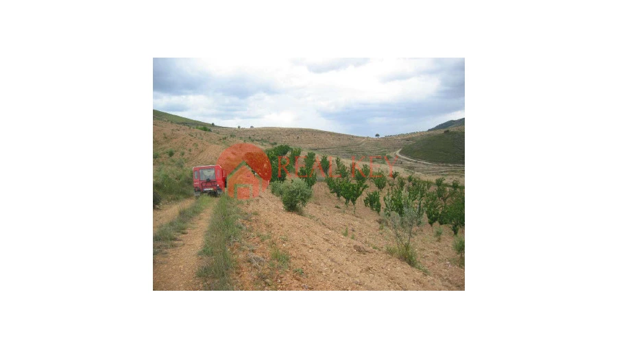 Quinta T5 para Venda em Torre de Moncorvo Foto 9