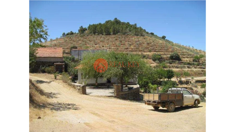 Quinta T5 para Venda em Torre de Moncorvo Foto 17