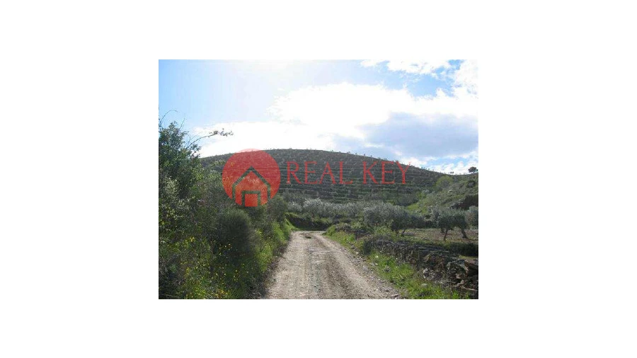 Quinta T5 para Venda em Torre de Moncorvo Foto 21