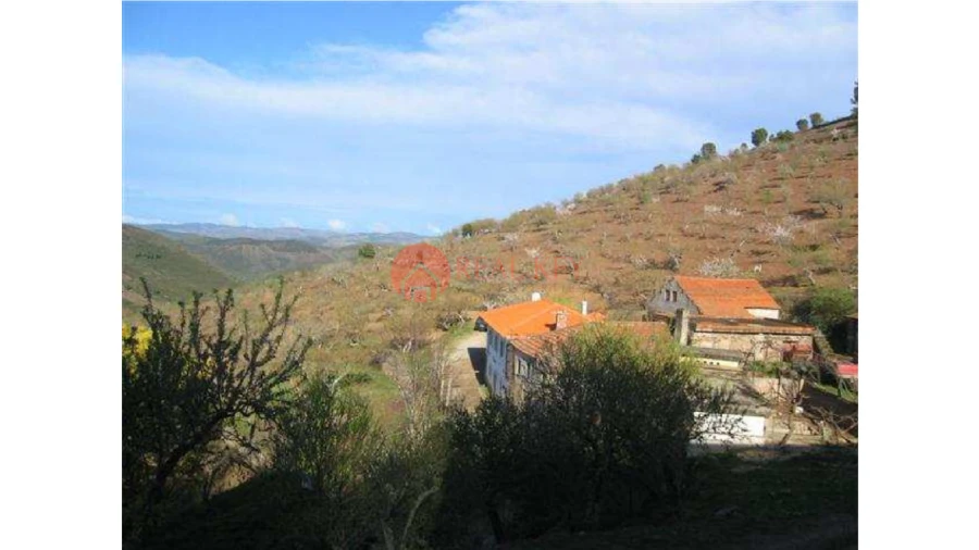 Quinta T5 para Venda em Torre de Moncorvo Foto 16