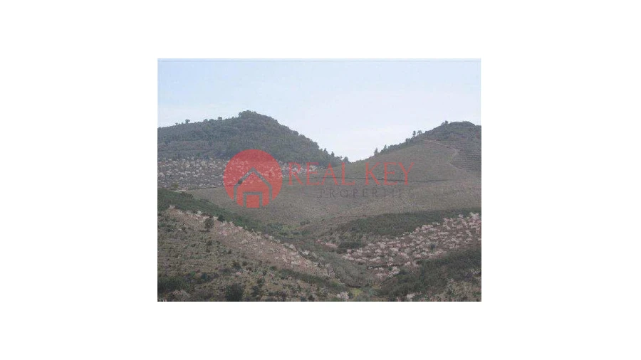 Quinta T5 para Venda em Torre de Moncorvo Foto 23