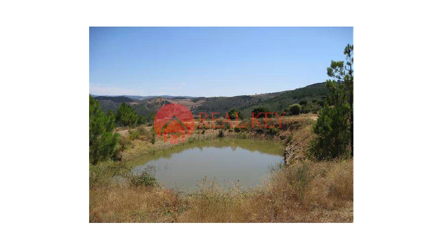 Quinta T5 para Venda em Torre de Moncorvo Foto 13