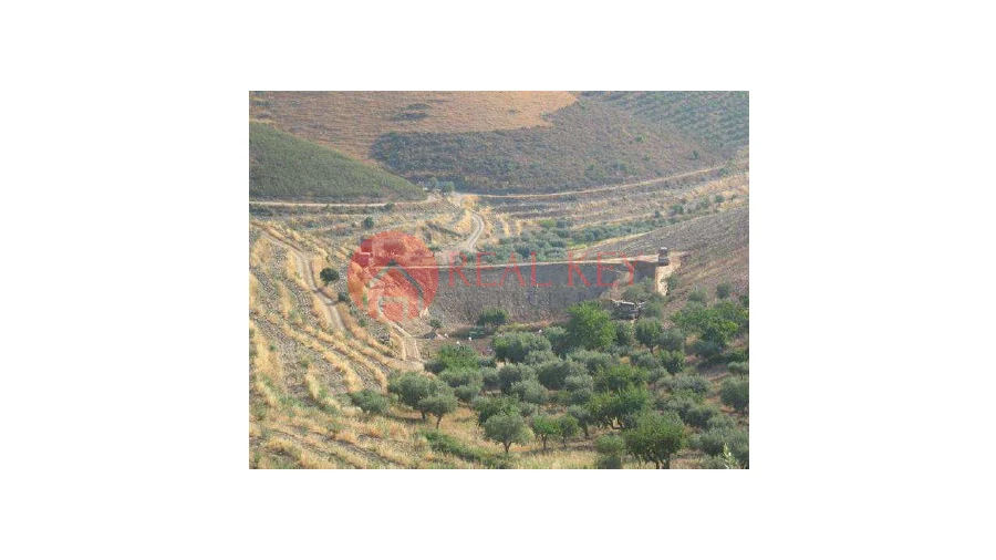 Quinta T5 para Venda em Torre de Moncorvo Foto 12