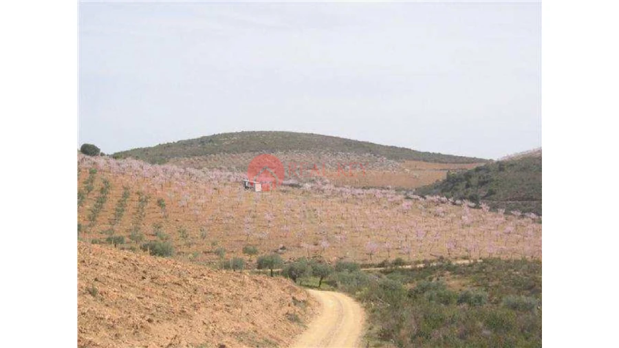 Quinta T5 para Venda em Torre de Moncorvo Foto 5