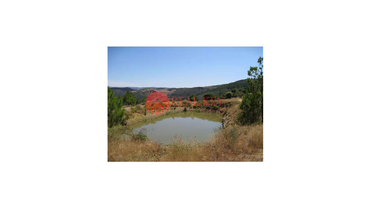 Quinta T5 para Venda em Torre de Moncorvo Foto 13