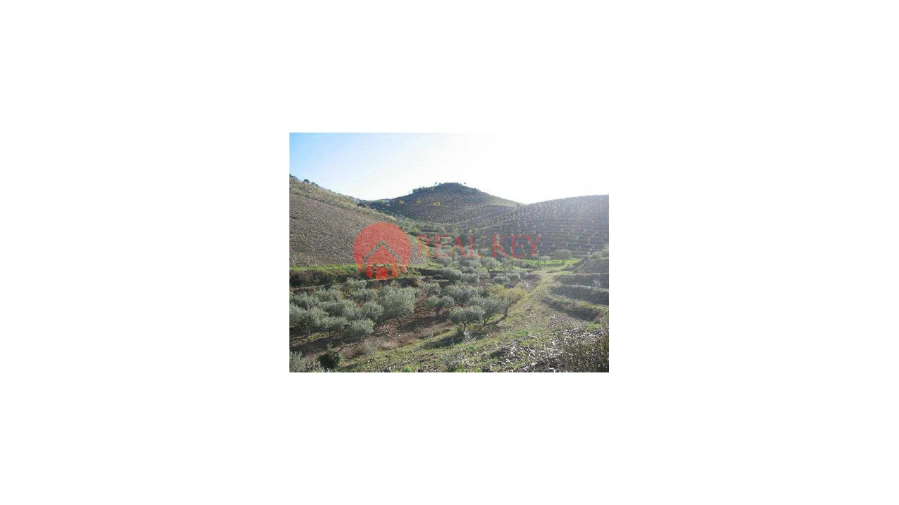 Quinta T5 para Venda em Torre de Moncorvo Foto 22