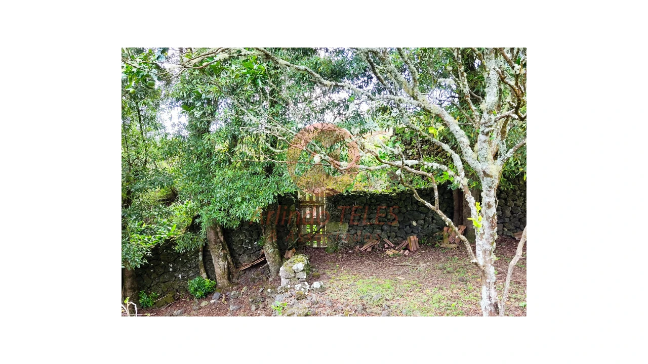 Moradia T3 para Venda em Terra Chã Foto 35