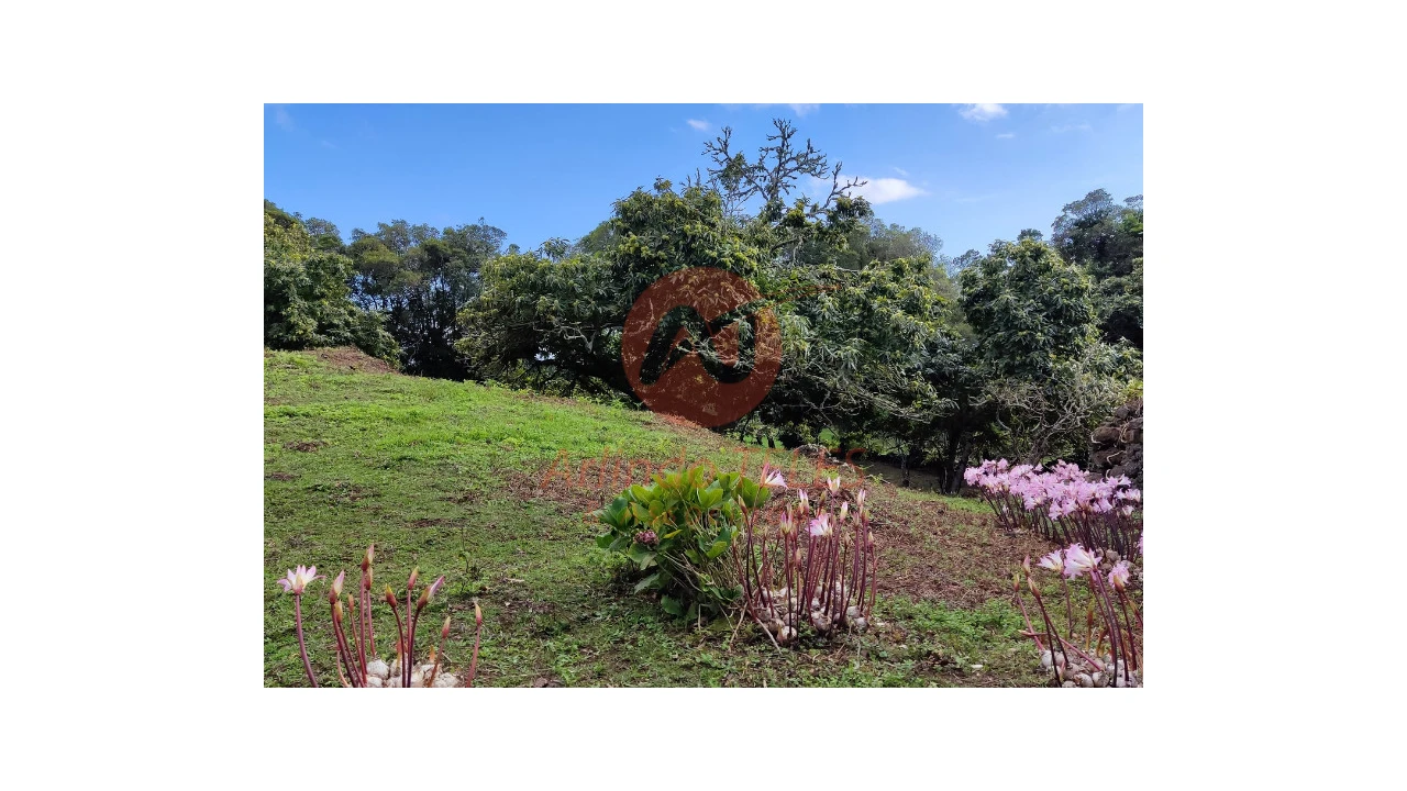 Moradia T3 para Venda em Terra Chã Foto 31