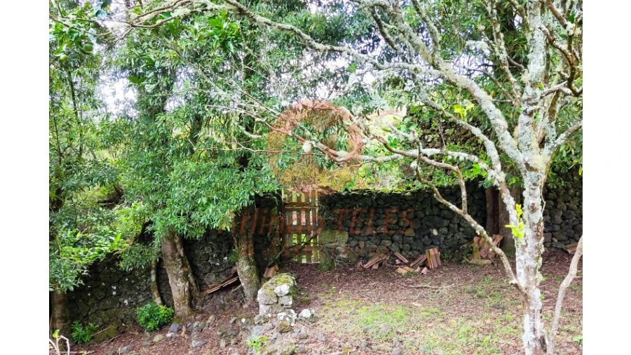 Moradia T3 para Venda em Terra Chã Foto 35