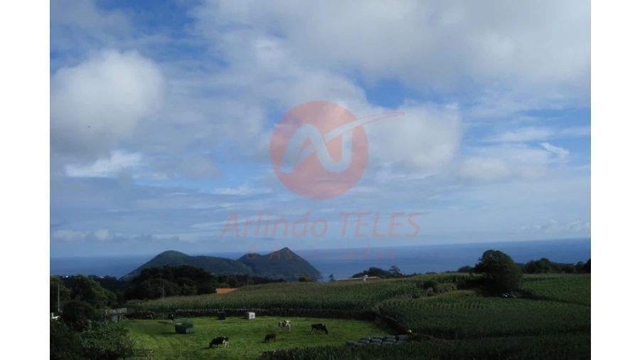 Moradia T3 para Venda em Terra Chã Foto 43