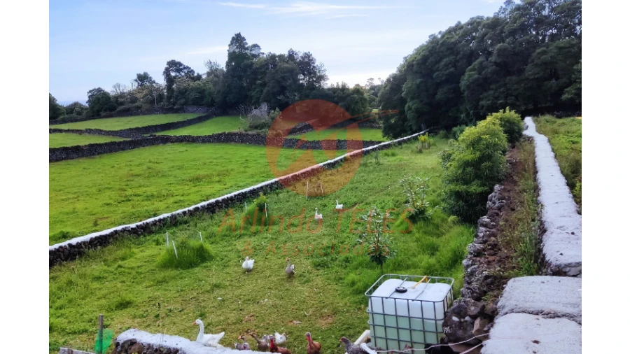 Moradia T3 para Venda em Terra Chã Foto 40