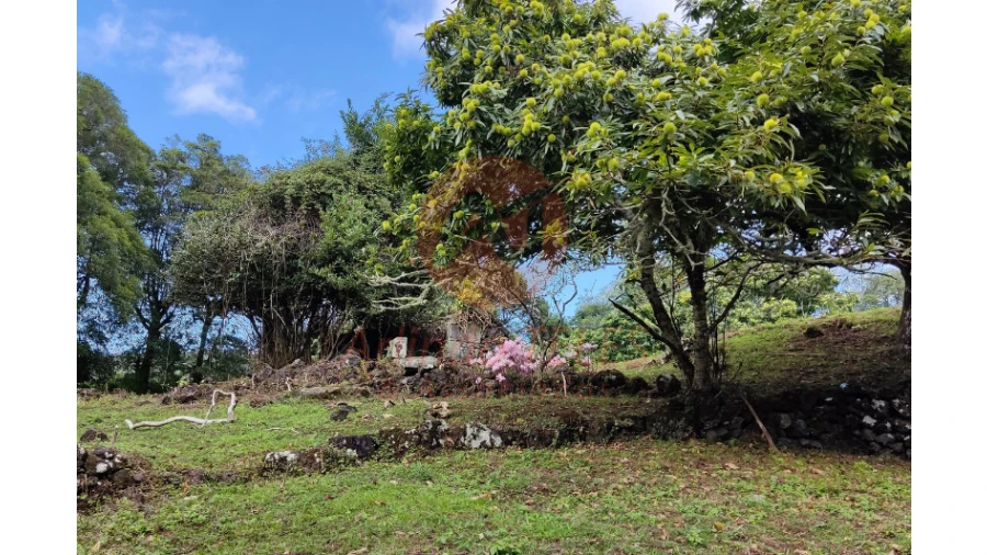 Moradia T3 para Venda em Terra Chã Foto 34