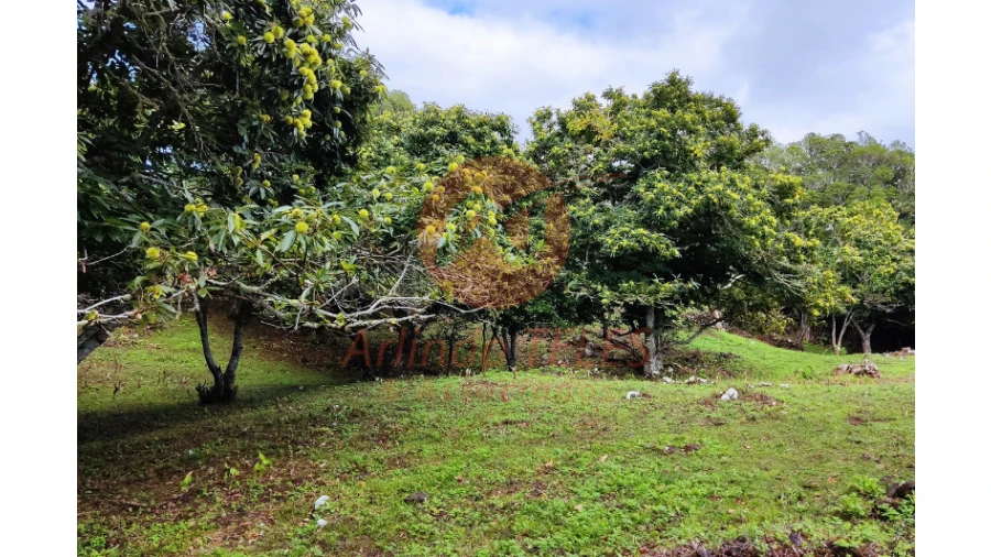 Moradia T3 para Venda em Terra Chã Foto 32