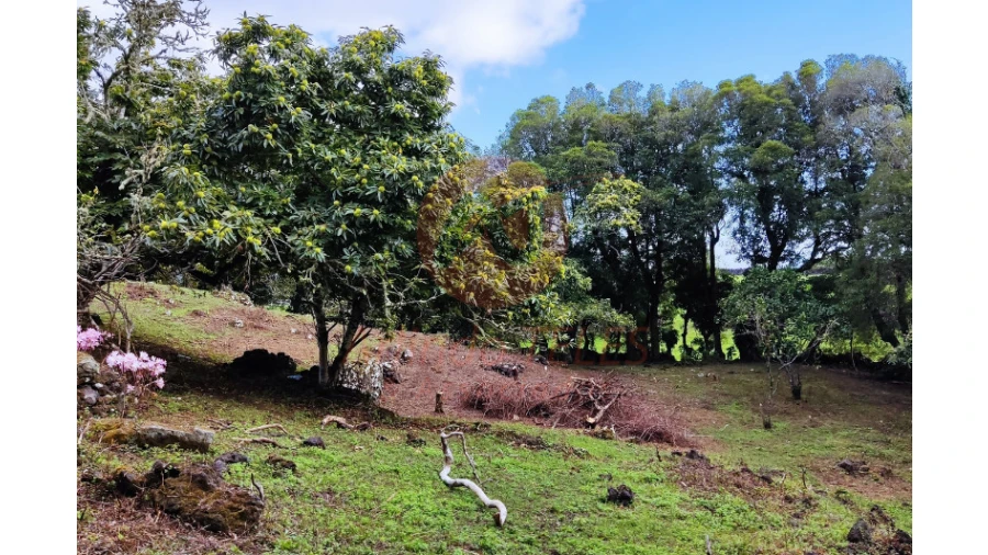 Moradia T3 para Venda em Terra Chã Foto 33