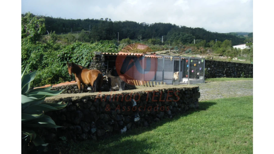 Moradia T3 para Venda em Terra Chã Foto 21