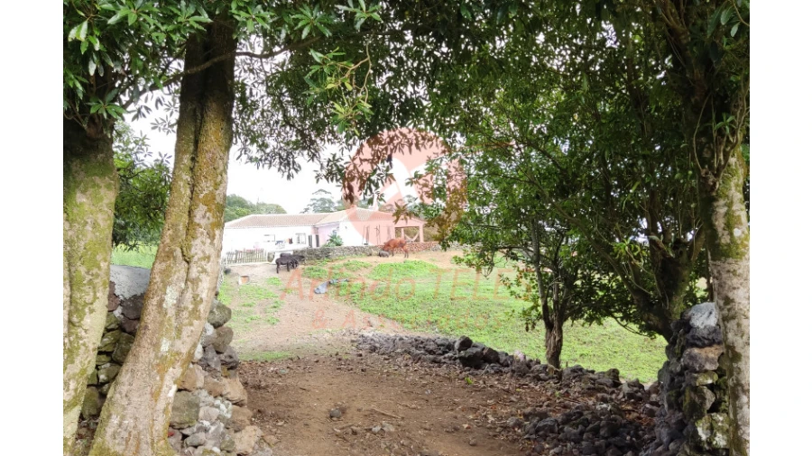 Moradia T3 para Venda em Terra Chã Foto 30