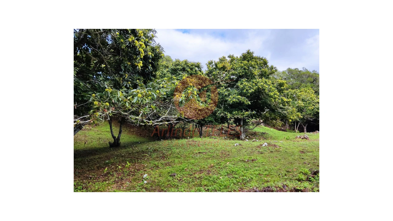 Moradia T3 para Venda em Terra Chã Foto 32