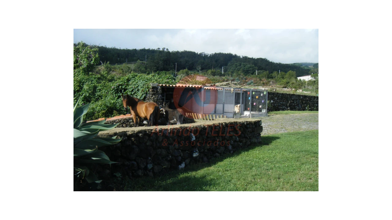 Moradia T3 para Venda em Terra Chã Foto 21