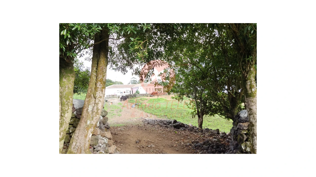 Moradia T3 para Venda em Terra Chã Foto 30