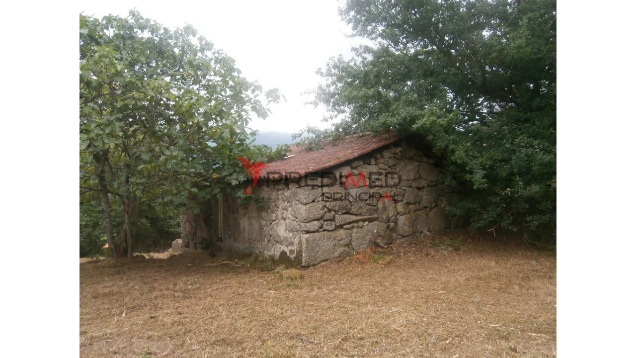 Quinta para Venda em Verim, Friande e Ajude Foto 5