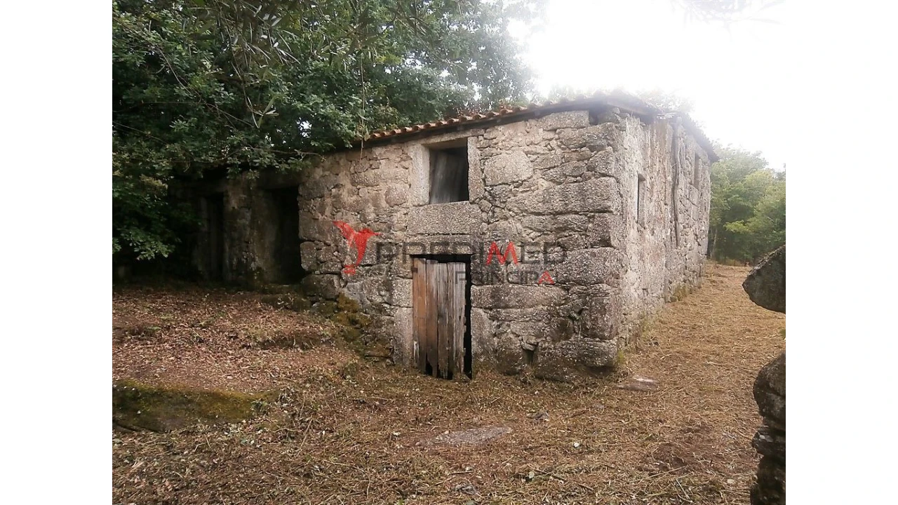 Quinta para Venda em Verim, Friande e Ajude Foto 1