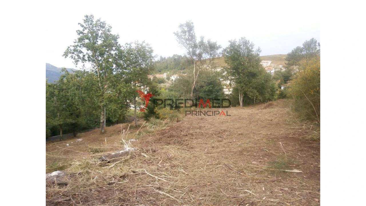 Quinta para Venda em Verim, Friande e Ajude Foto 11