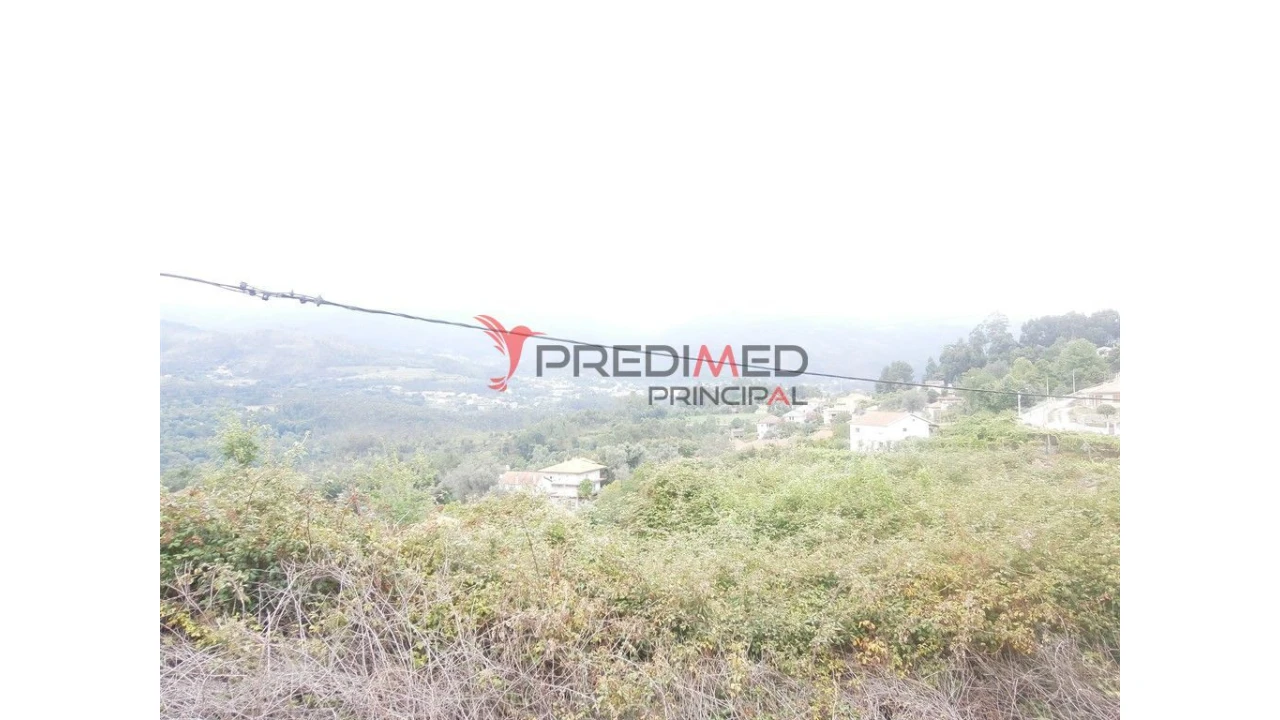 Quinta para Venda em Verim, Friande e Ajude Foto 13