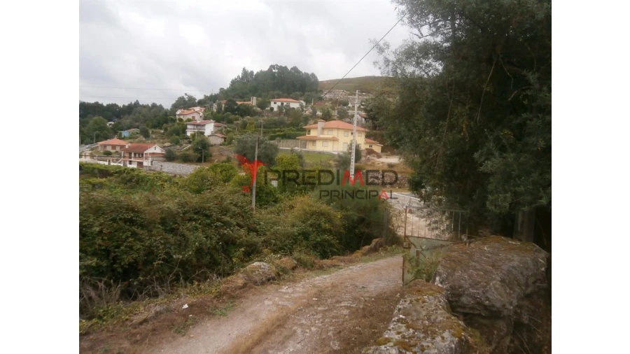 Quinta para Venda em Verim, Friande e Ajude Foto 8