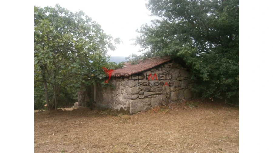 Quinta para Venda em Verim, Friande e Ajude Foto 5
