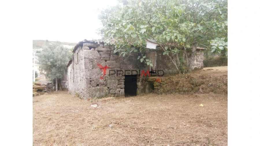 Quinta para Venda em Verim, Friande e Ajude Foto 3