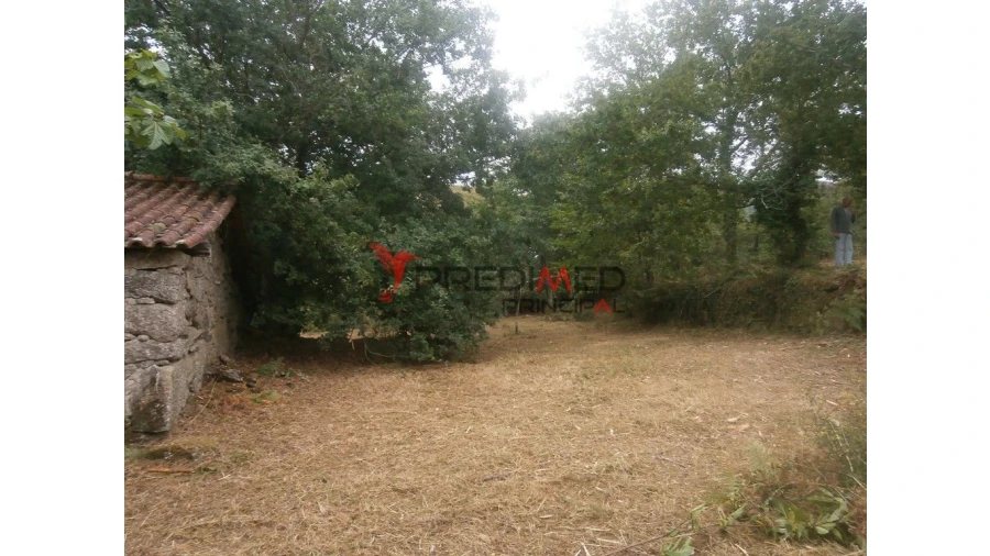Quinta para Venda em Verim, Friande e Ajude Foto 12