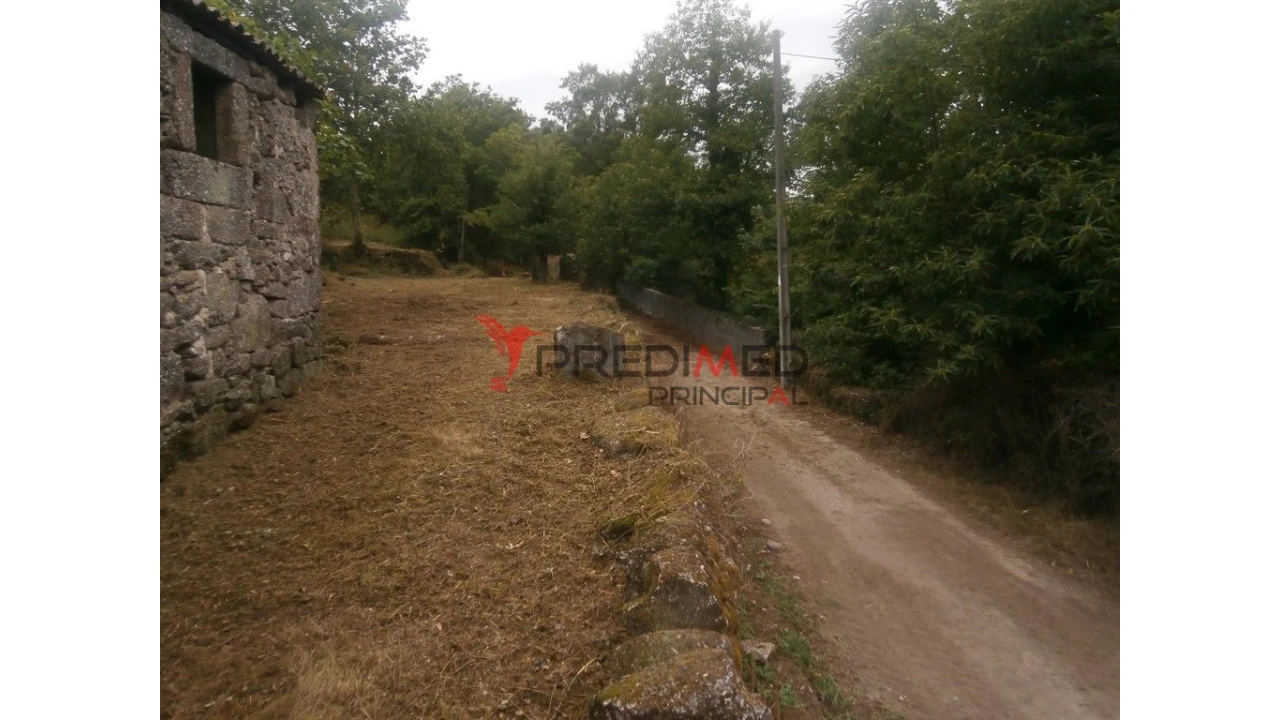 Quinta para Venda em Verim, Friande e Ajude Foto 10