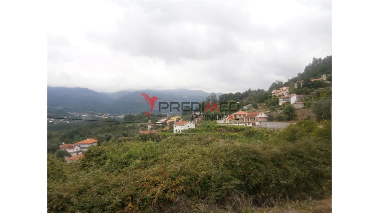 Quinta para Venda em Verim, Friande e Ajude Foto 14