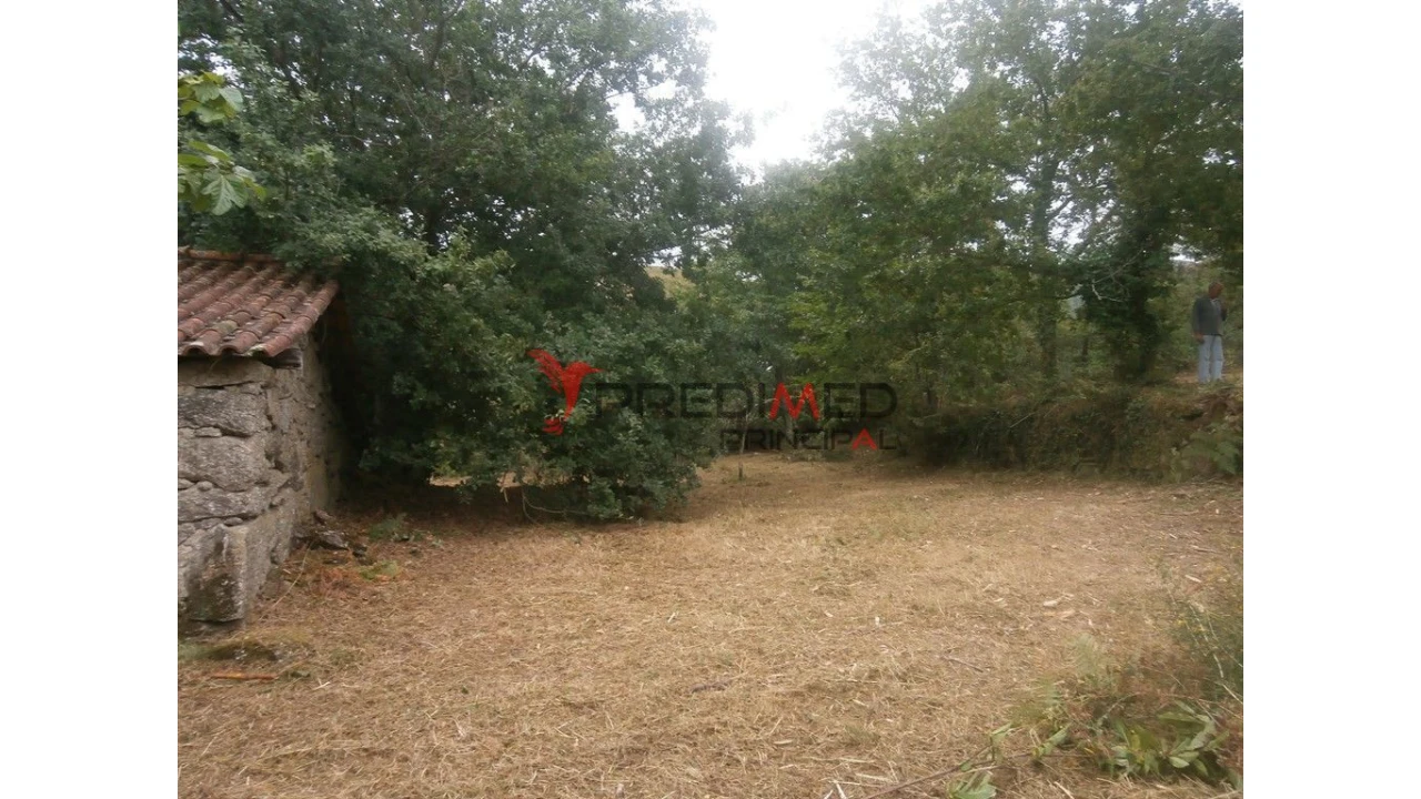 Quinta para Venda em Verim, Friande e Ajude Foto 12