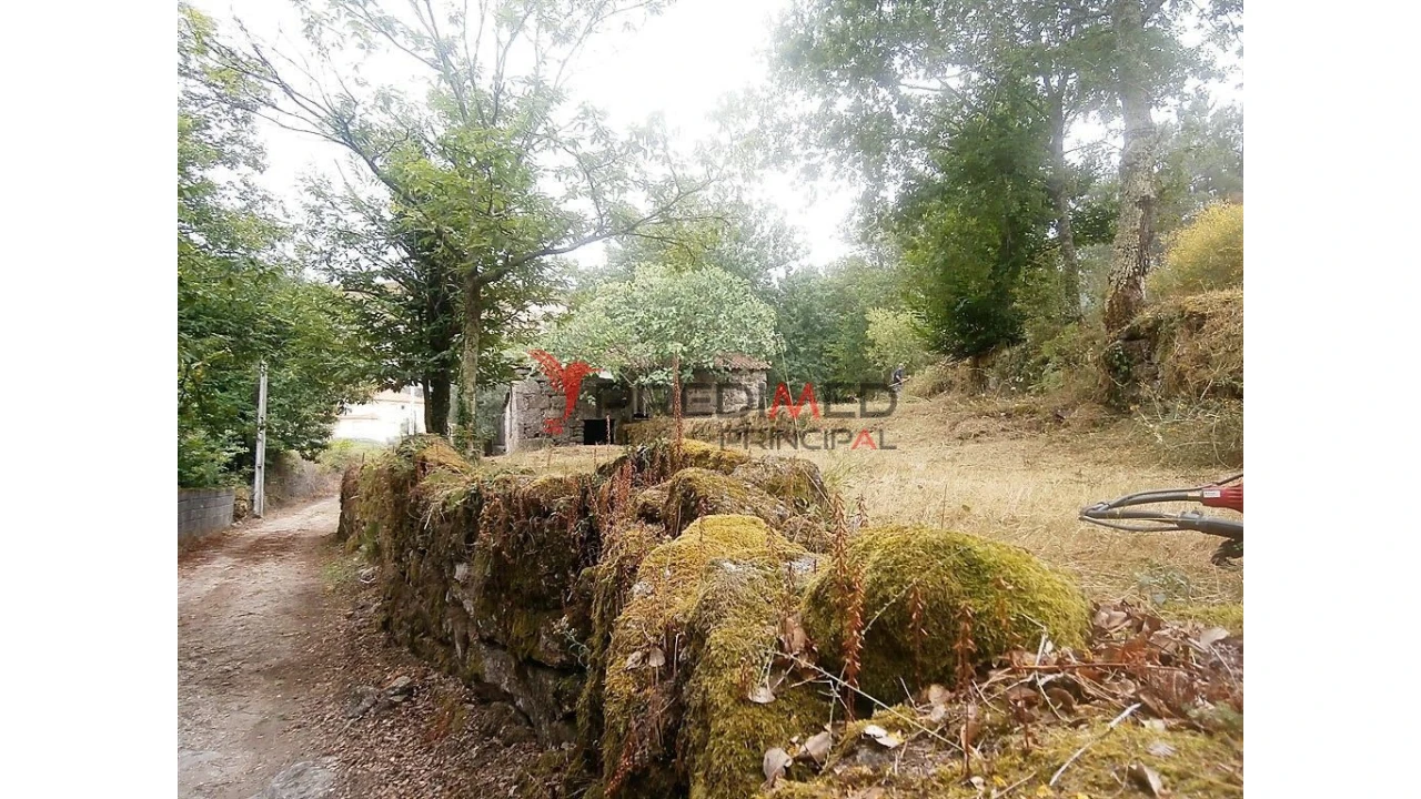 Quinta para Venda em Verim, Friande e Ajude Foto 9