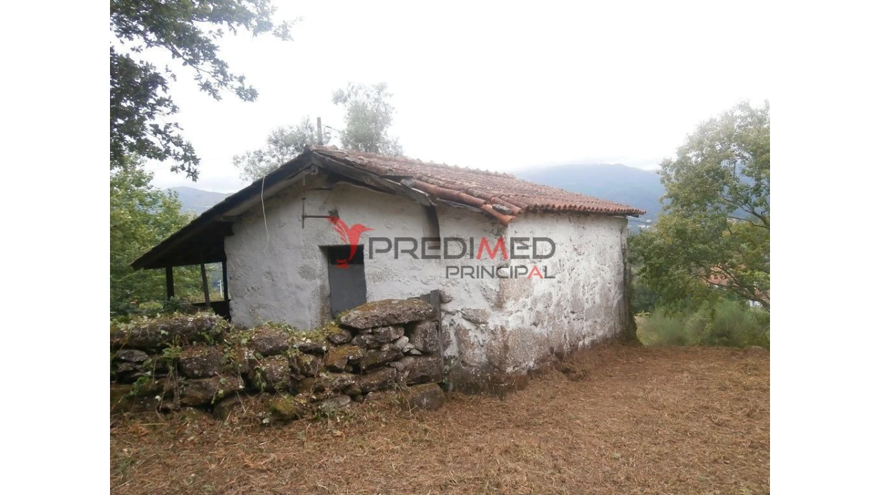 Quinta para Venda em Verim, Friande e Ajude Foto 2