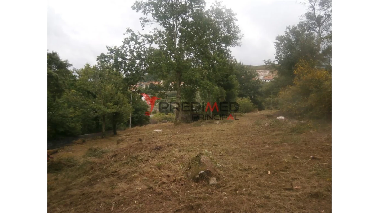 Quinta para Venda em Verim, Friande e Ajude Foto 7