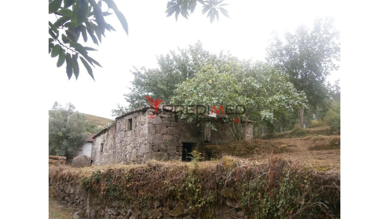 Quinta para Venda em Verim, Friande e Ajude Foto 4