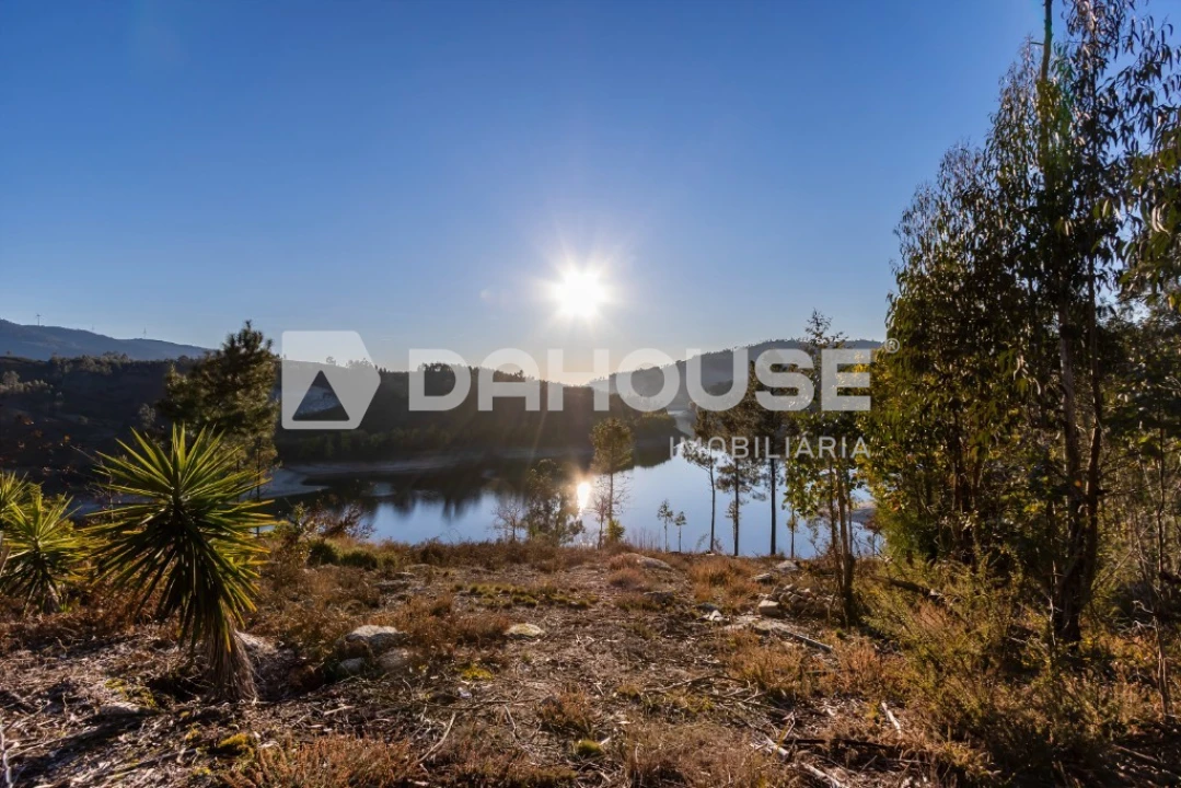 Terreno para Venda em Rossas Foto 3