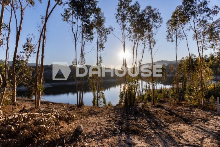 Terreno para Venda em Rossas Foto 5