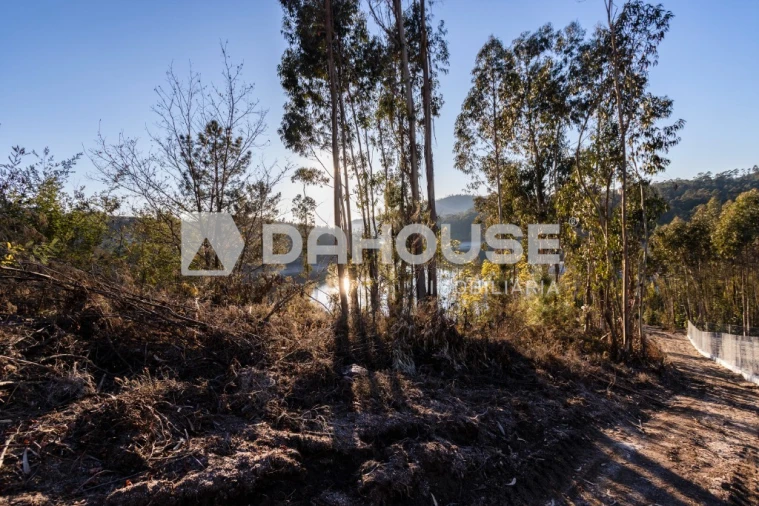 Terreno para Venda em Rossas Foto 4