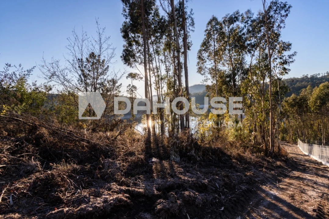 Terreno para Venda em Rossas Foto 4