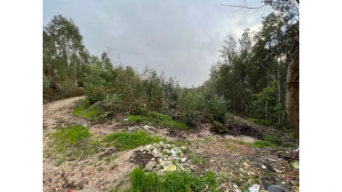 Terreno para Venda em São Martinho de Árvore e Lamarosa