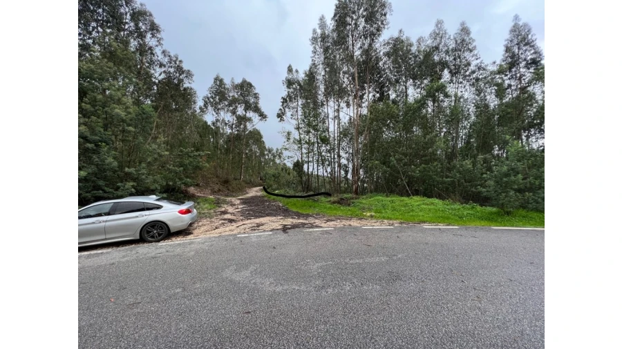 Terreno para Venda em São Martinho de Árvore e Lamarosa
