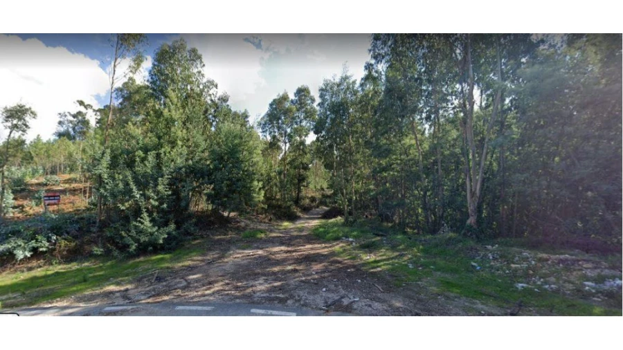 Terreno para Venda em São Martinho de Árvore e Lamarosa Foto 2