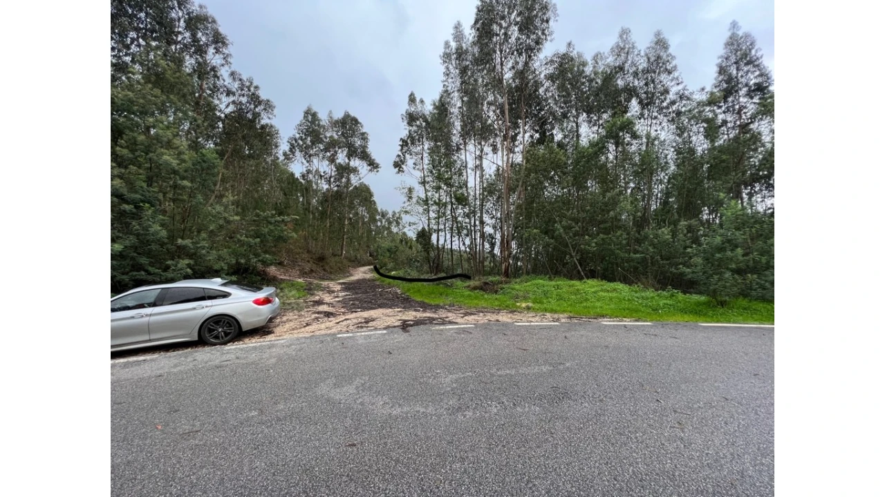 Terreno para Venda em São Martinho de Árvore e Lamarosa Foto 1