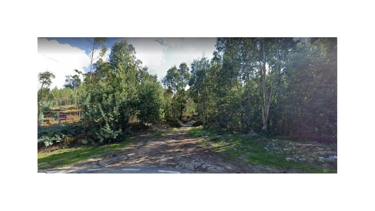 Terreno para Venda em São Martinho de Árvore e Lamarosa Foto 2