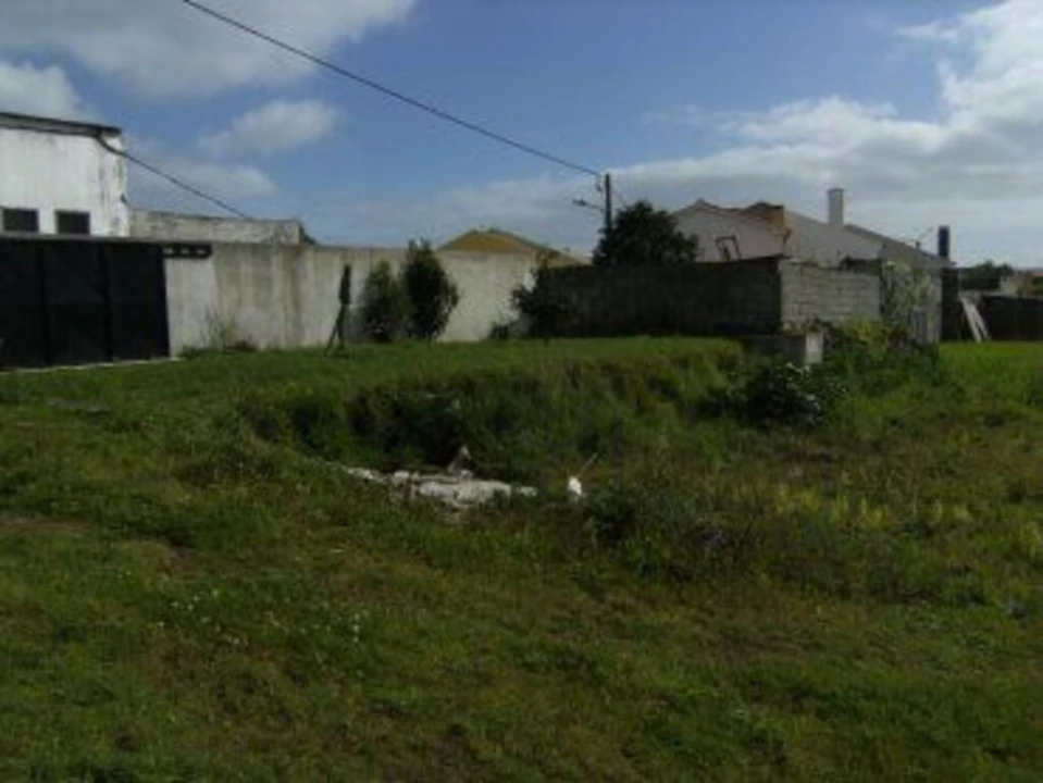 Terreno para Venda em Rosto do Cão (Livramento) Foto 4